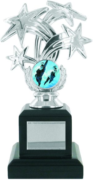 Silver Star Trophy on Black Base
