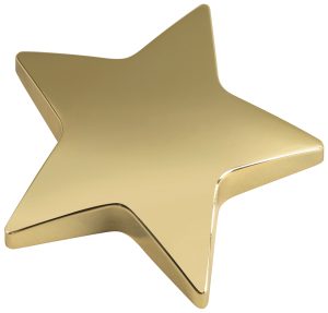 Star Paper Weight