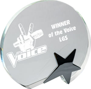 Crystal Award with Star (Satin Box)