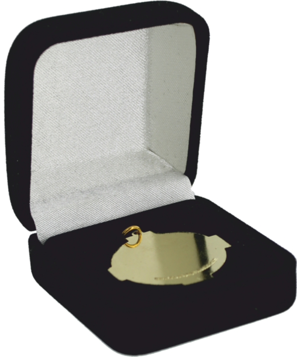 Flocked Medal Box MI Series Medals