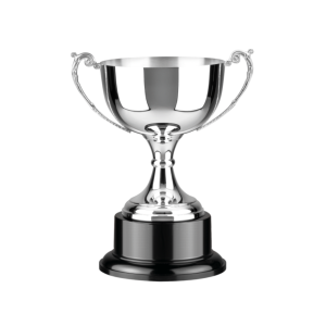 Colonial Cup